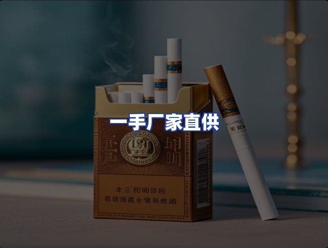 专业团队